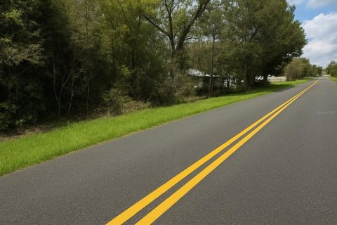 Land in Dunnellon, Florida № 2163437 - photo 2
