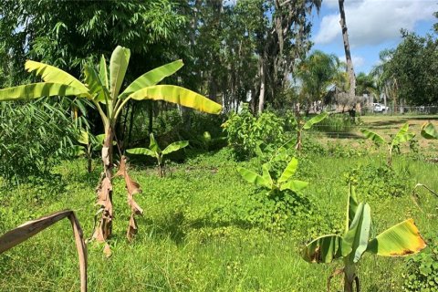 Land in Bartow, Florida № 1834885 - photo 26