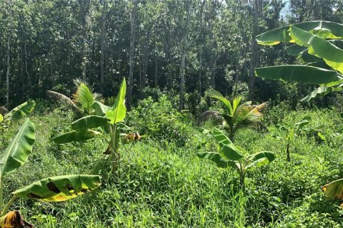 Land in Bartow, Florida № 1834885 - photo 8