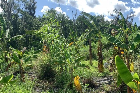 Land in Bartow, Florida № 1834885 - photo 28