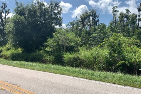 Land in Bartow, Florida № 1834885 - photo 2