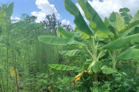 Land in Bartow, Florida № 1834885 - photo 21