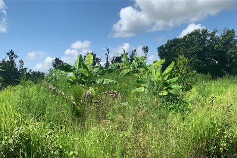 Land in Bartow, Florida № 1834885 - photo 16