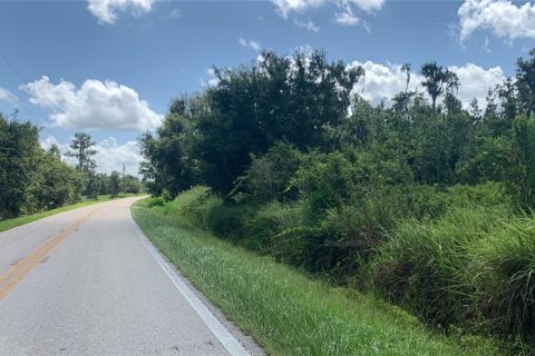 Land in Bartow, Florida № 1834885 - photo 25