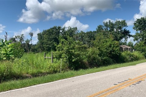 Land in Bartow, Florida № 1834885 - photo 4