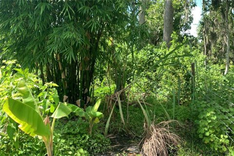 Land in Bartow, Florida № 1834885 - photo 24