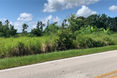 Land in Bartow, Florida № 1834885 - photo 3