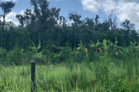Land in Bartow, Florida № 1834885 - photo 5