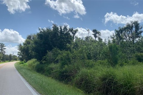 Land in Bartow, Florida № 1834885 - photo 18