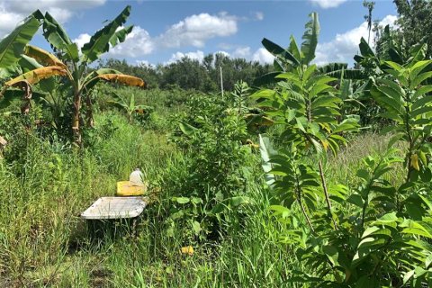 Land in Bartow, Florida № 1834885 - photo 7