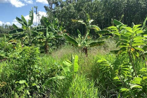 Land in Bartow, Florida № 1834885 - photo 9