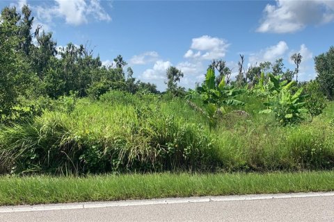 Land in Bartow, Florida № 1834885 - photo 1