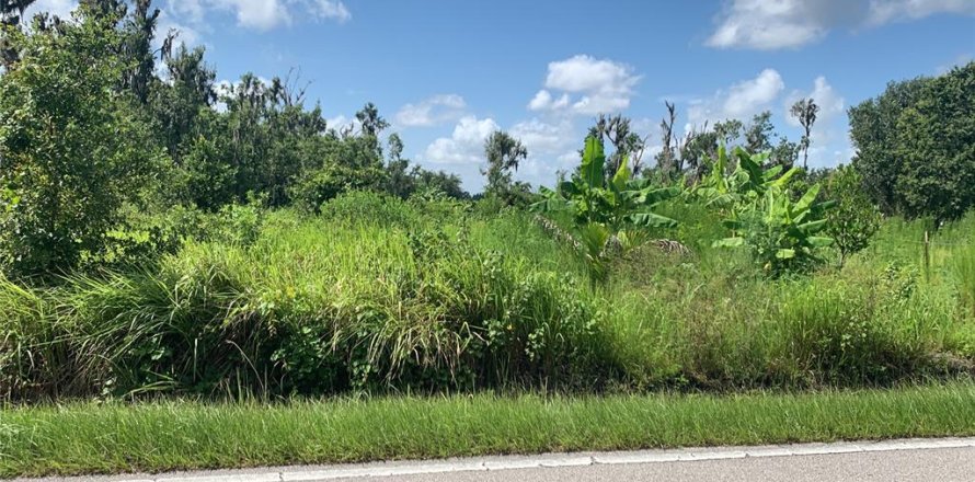 Terreno en Bartow, Florida № 1834885