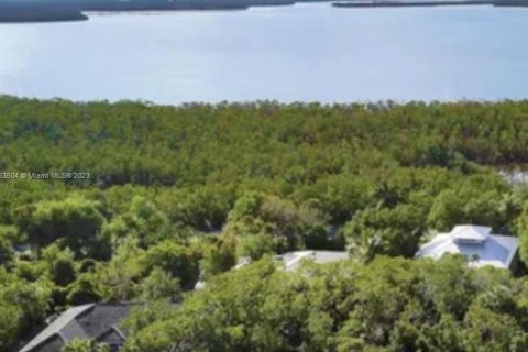 Terreno en venta en Marco Island, Florida № 754766 - foto 1