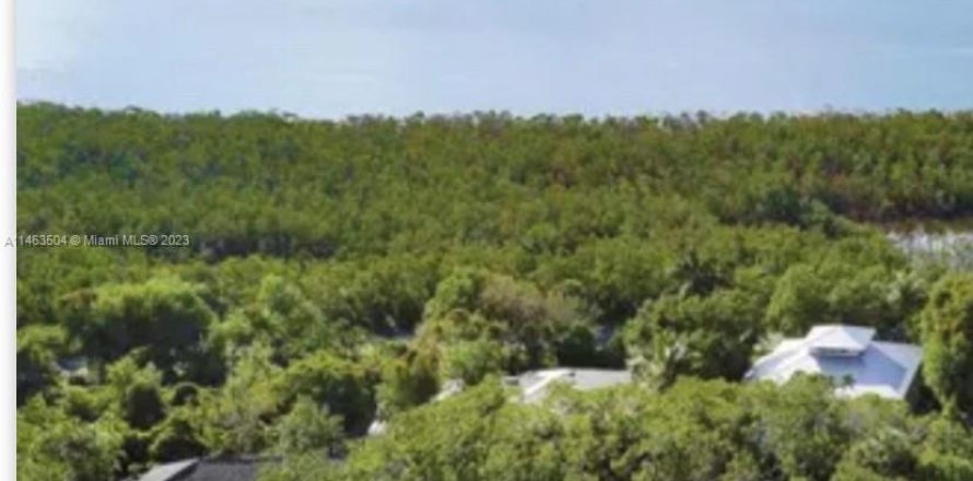 Terreno en Marco Island, Florida № 754766