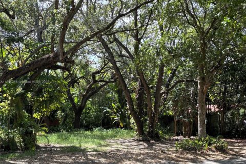 Land in Coral Gables, Florida № 1875731 - photo 2