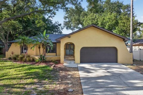 House in Palm Harbor, Florida 4 bedrooms, 208.1 sq.m. № 2226191