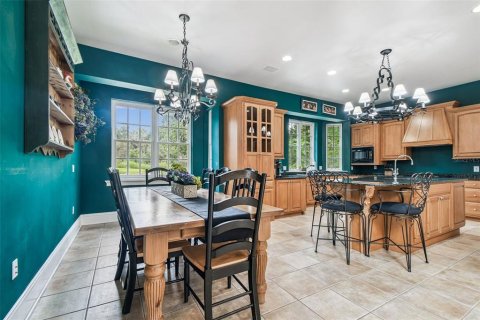 Casa en venta en Seffner, Florida, 4 dormitorios, 633.78 m2 № 1898877 - foto 20