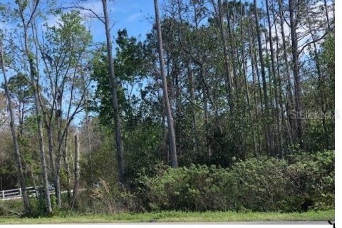 Terreno en alquiler en Polk City, Florida № 1637651 - foto 1
