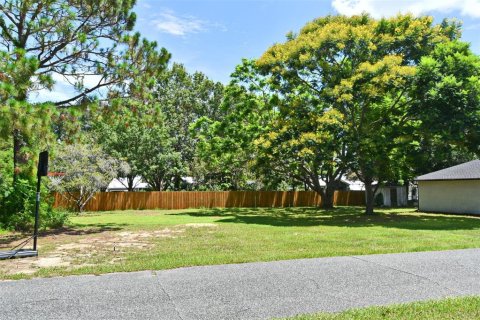 House in Yalaha, Florida 3 bedrooms, 270.53 sq.m. № 1831248 - photo 10