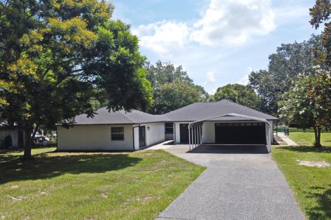 House in Yalaha, Florida 3 bedrooms, 270.53 sq.m. № 1831248 - photo 1
