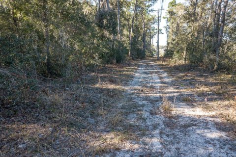 Terreno en venta en DeLand, Florida № 2135033 - foto 14