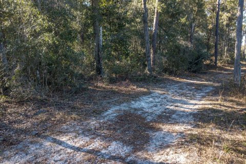 Terreno en venta en DeLand, Florida № 2135033 - foto 15