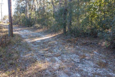 Terreno en venta en DeLand, Florida № 2135033 - foto 16