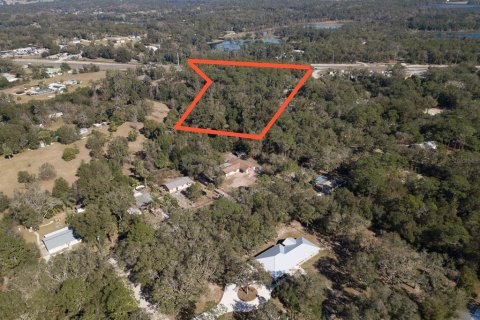 Terreno en venta en DeLand, Florida № 2135033 - foto 21