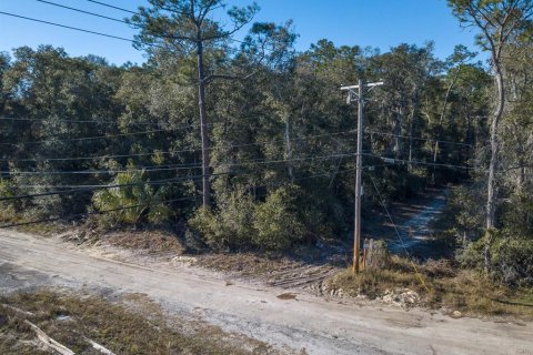 Terreno en venta en DeLand, Florida № 2135033 - foto 13