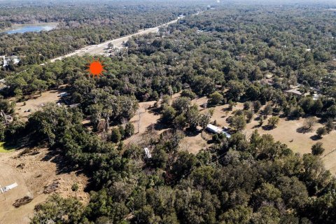 Terreno en venta en DeLand, Florida № 2135033 - foto 22