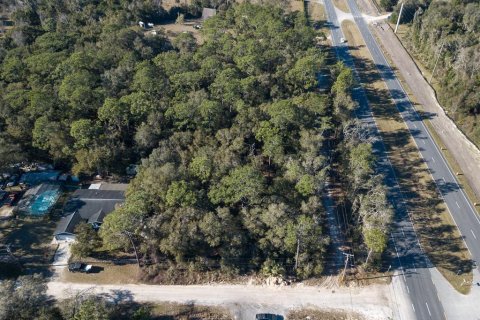 Terreno en venta en DeLand, Florida № 2135033 - foto 12