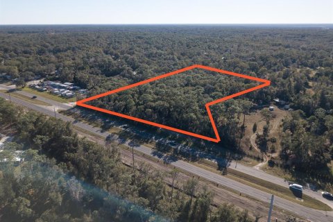 Terreno en venta en DeLand, Florida № 2135033 - foto 3
