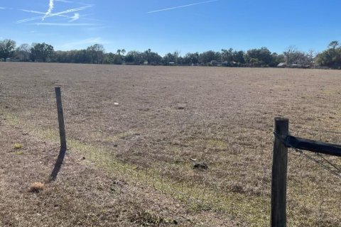 Land in Plant City, Florida № 2212139