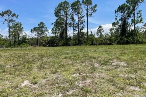 Terreno en Cape Coral, Florida № 2170619