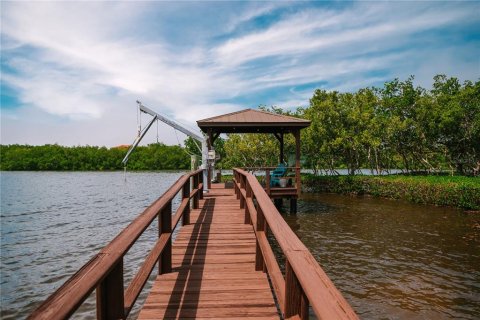 Villa ou maison à vendre à Tarpon Springs, Floride: 3 chambres, 148.64 m2 № 1750223 - photo 4
