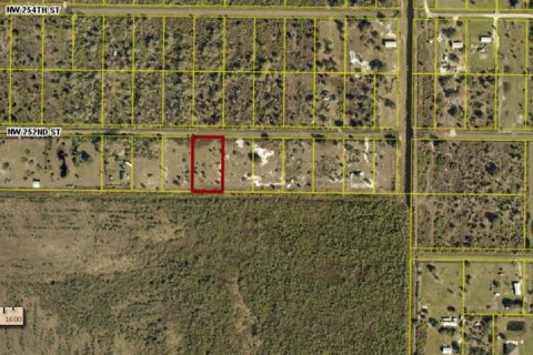 Terreno en Okeechobee, Florida № 2222392