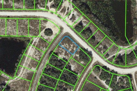 Land in Lake Placid, Florida № 2161265