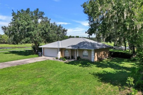 Villa ou maison à vendre à Fish Hawk, Floride: 3 chambres, 129.23 m2 № 2314294 - photo 2