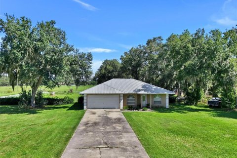 House in Fish Hawk, Florida 3 bedrooms, 129.23 sq.m. № 2314294