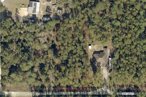 Land in Dunnellon, Florida № 2228940 - photo 6
