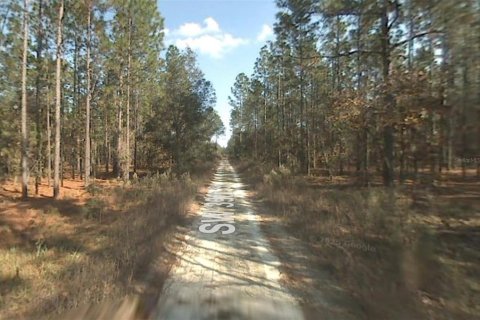 Land in Dunnellon, Florida № 2228940 - photo 2