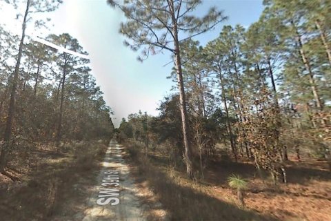 Land in Dunnellon, Florida № 2228940 - photo 4