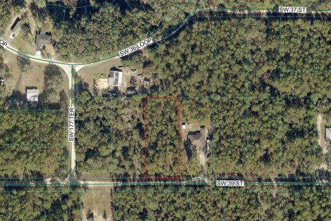 Land in Dunnellon, Florida № 2228940 - photo 5