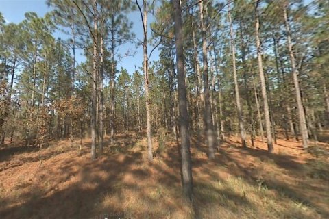 Land in Dunnellon, Florida № 2228940