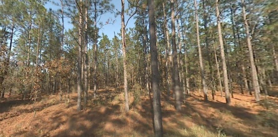 Land in Dunnellon, Florida № 2228940