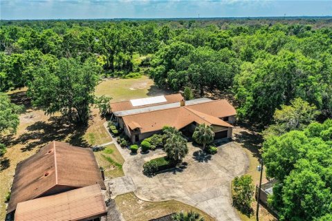 Casa en venta en Brandon, Florida, 5 dormitorios, 393.16 m2 № 1766240 - foto 4