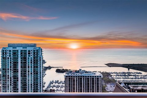 Condo in Saint Petersburg, Florida, 3 bedrooms  № 2097763 - photo 16