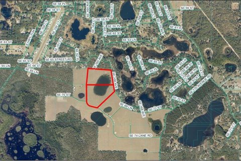 Land in Ocklawaha, Florida № 1520040 - photo 1