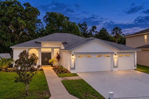Casa en Odessa, Florida 3 dormitorios, 187.57 m2 № 2384132